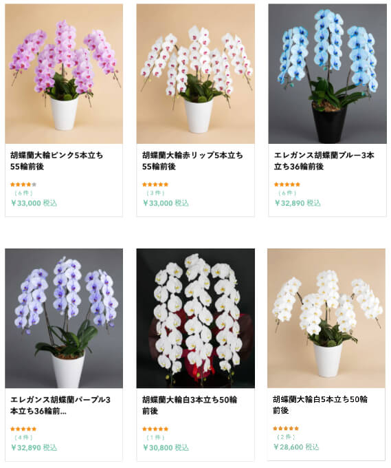 HANAMAROはカラー胡蝶蘭が人気
